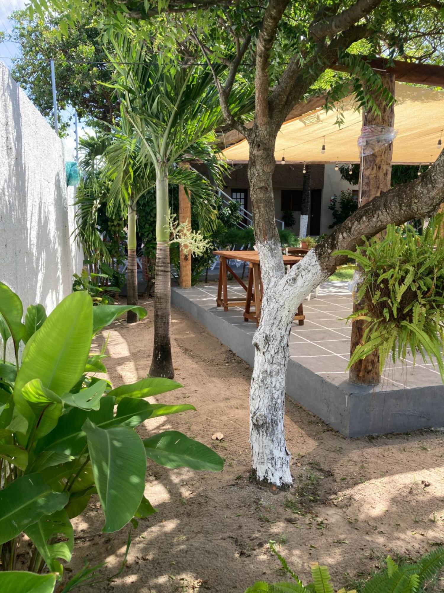 Pousada Vitoria Hotel Pitimbu  Exterior foto
